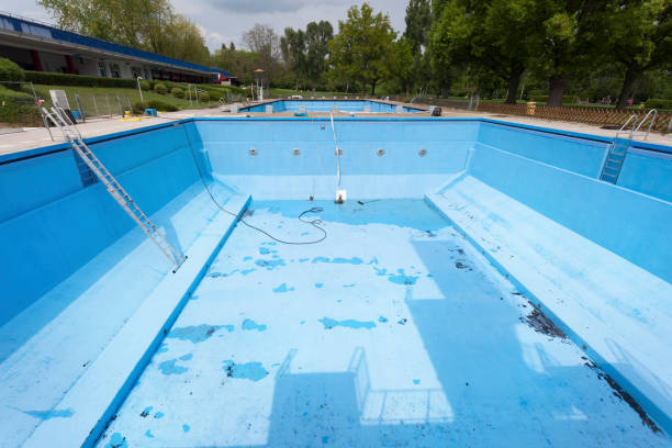 Best Water damage contractors near me  in Blooming Prairie, MN