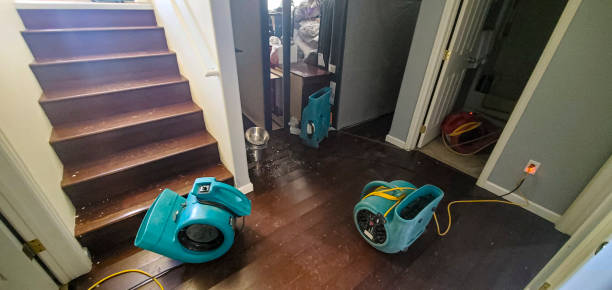 Best Basement water damage restoration  in Blooming Prairie, MN