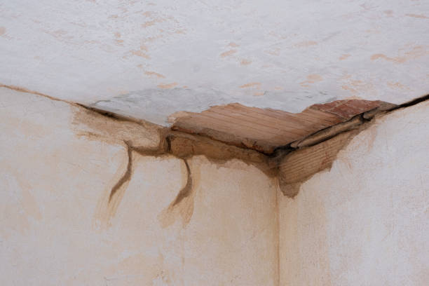 Best Flood damage cleanup  in Blooming Prairie, MN