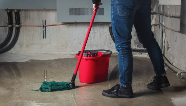 Best Emergency water extraction  in Blooming Prairie, MN