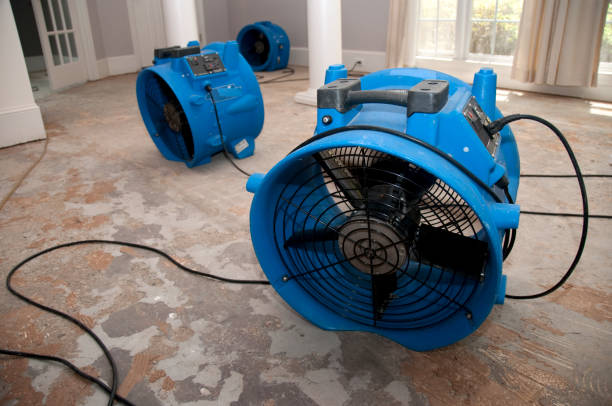 Best 24-hour water damage restoration  in Blooming Prairie, MN