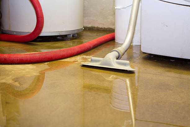 Professional Water damage restoration in Blooming Prairie, MN