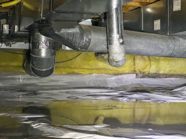 Best Flooded house restoration  in Blooming Prairie, MN