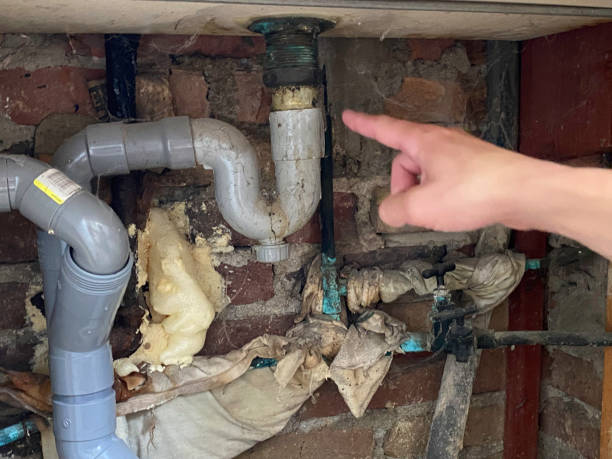 Professional Water damage restoration in Blooming Prairie, MN