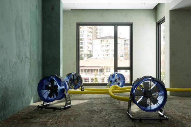 Best Sewage cleanup and water damage restoration  in Blooming Prairie, MN