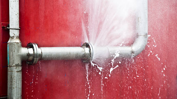 Best Emergency water damage restoration  in Blooming Prairie, MN