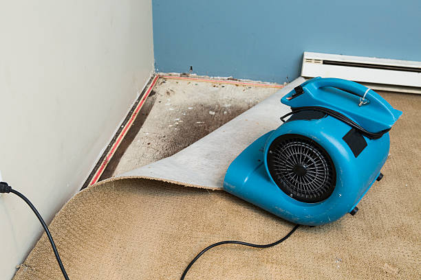 Sewage cleanup and water damage restoration in Blooming Prairie, MN
