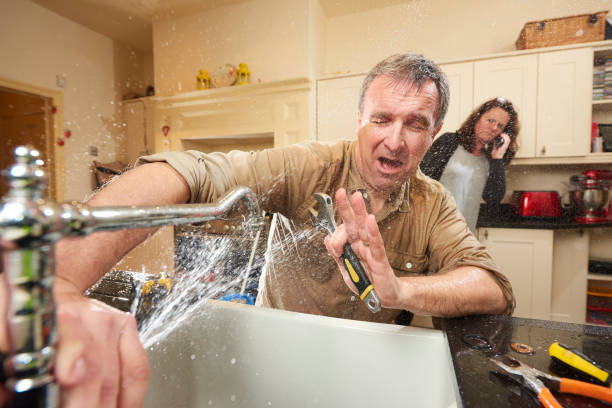 Best Ceiling water damage repair  in Blooming Prairie, MN